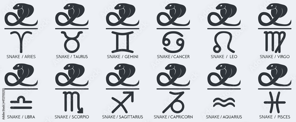 Vector Year of the snake Animal icons eastern annual horoscope and zodiac signs in one symbol 2025 2037 2049 2061 years