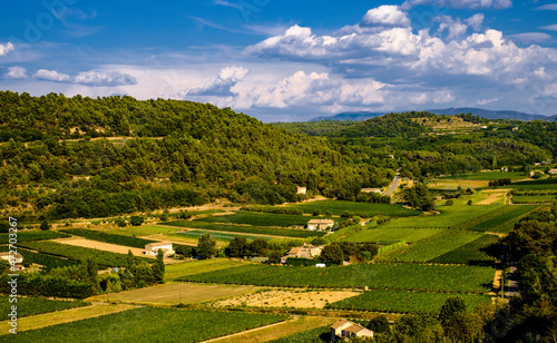 Provence, vineyards, view from above