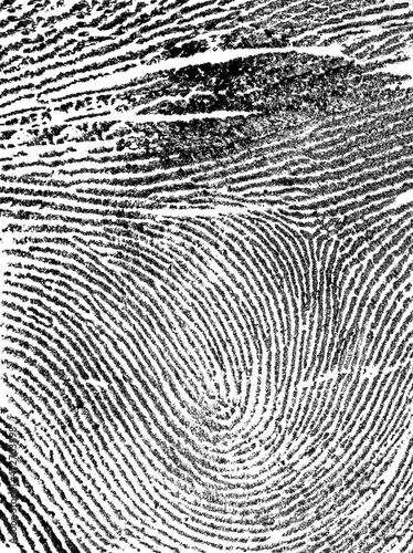 Fingerprint on white paper, as background. Index fingerprint.