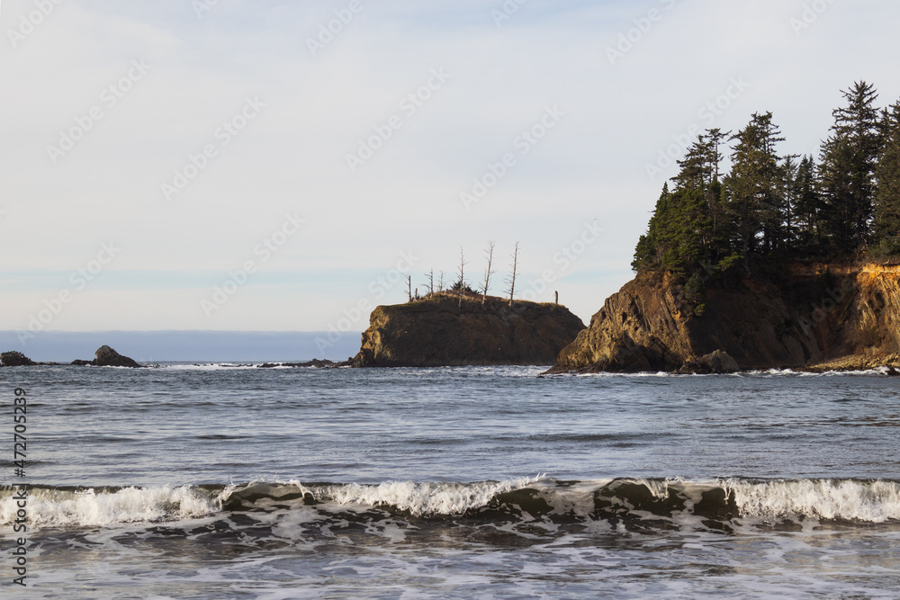 A wave poised in the foreground with the forested Oregon coastline in the background
