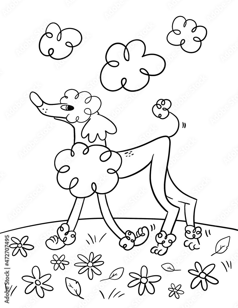 Dog coloring book page. Funny poodle line illustration. Stock