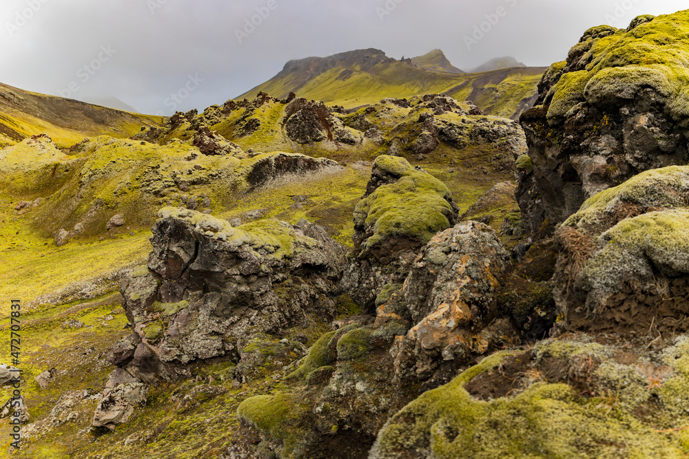 Obraz premium Europe, Iceland. View of the volcanic hills and moss covered lava of the Landmannalaugar area in the highlands area.