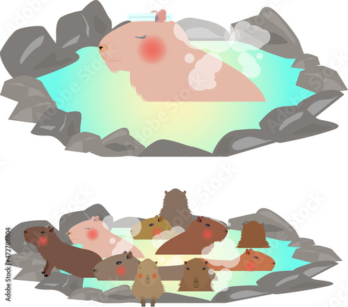 温泉に入るカピパラ