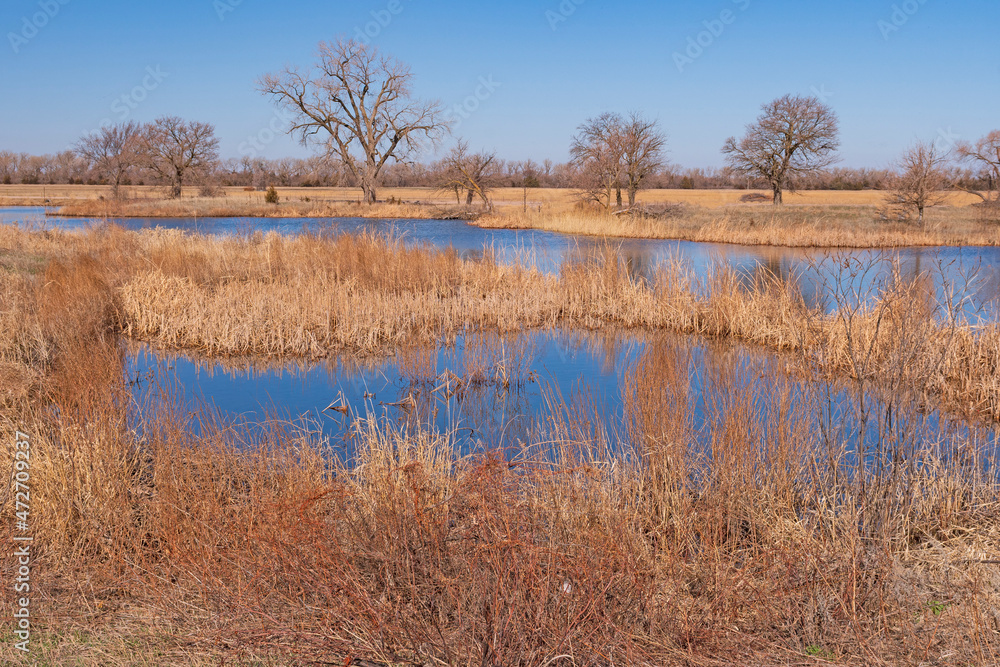 Flood Plain Wetlands Along the Platte River