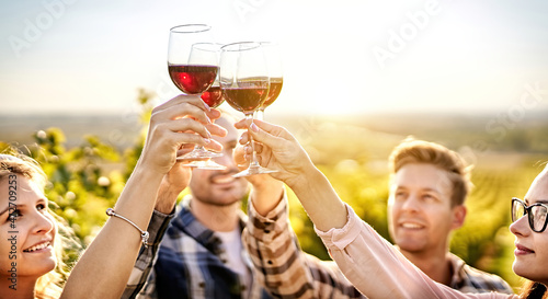Happy people enjoying harvest time together at farmhouse winery countryside - Youth and friendship concept - Toasting red wine glass at vineyard before sunset - Focus on the wine glass photo