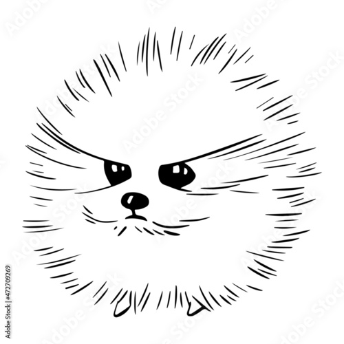 vector funny cute line art illustration of fluffy spitz dog isolated on white background. useful for advertising pet products, dog products, pet shops, dog food, animal shelters, logo, emblem, print.