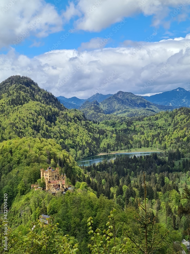 Fototapeta premium Famous Neuschwanstein Castle in Bavaria, Germany, fall