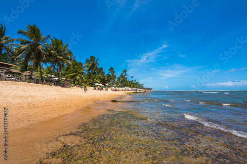 Praia do Forte, Bahia, Brazil, November 2020 - View of the beautiful Fort Beach (Praia do Forte) 