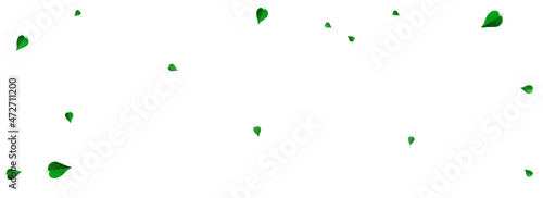 Olive Greens Wind Vector Panoramic White