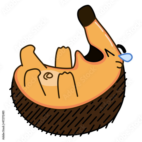 A hedgehog laughing to tears sways on the floor on a white background. Illustration of rampant hysterical laughter. Unstoppable fun. Cartoon character with LOL emotion.