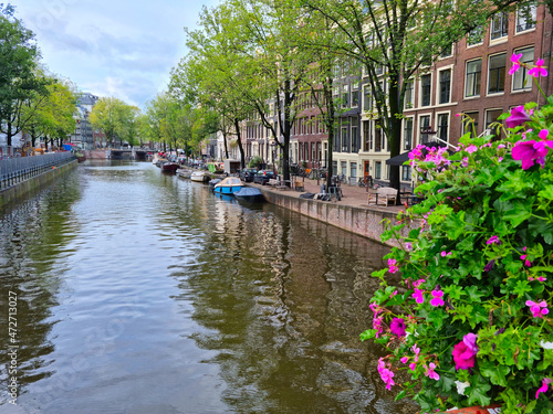 Flowers in an Amsterdam canal