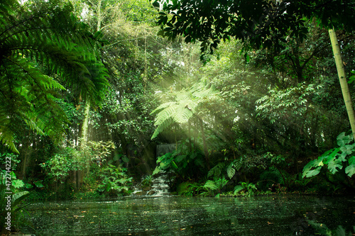 Picture of a beautiful tropical forest with a waterfall,