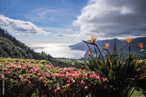 landscape with flowers photo