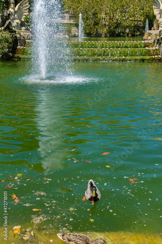 fountain in the park