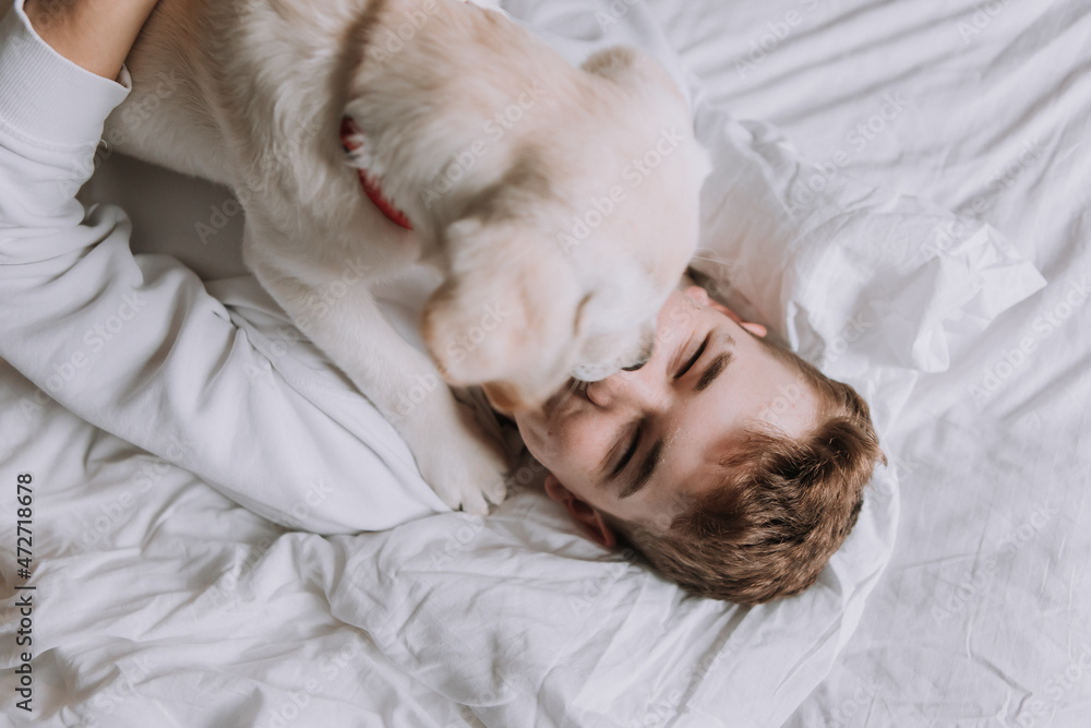 teen boy is lying in bed on white bedding with dog. top view. pet wakes up the owner in the morning. space for text. High quality photo teen boy is lying in bed on white bedding with dog. top view. pet wakes up the owner in the morning. space for text. High quality photo