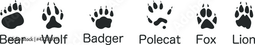 Animals footprints, paw prints. Set of different animals and birds footprints and traces. Bear, Wolf, Badger, Polecat, Fox, Lion. Vector illustration
