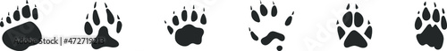 Animals footprints, paw prints. Set of different animals and birds footprints and traces. Bear, Wolf, Badger, Polecat, Fox, Lion. Vector illustration