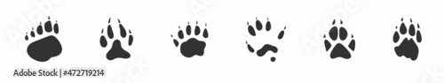 Animals footprints, paw prints. Set of different animals and birds footprints and traces. Bear, Wolf, Badger, Polecat, Fox, Lion. illustration