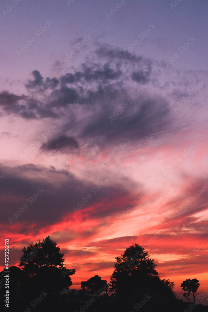 Sunset in the sky, Colored clouds and trees Sunset in the sky, Colored clouds and trees