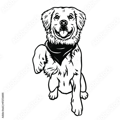 Golden Retriever Peeking Dog - head isolated on white. Dog clipart. Young retriever vector illustration file for cutting. Black dog animals