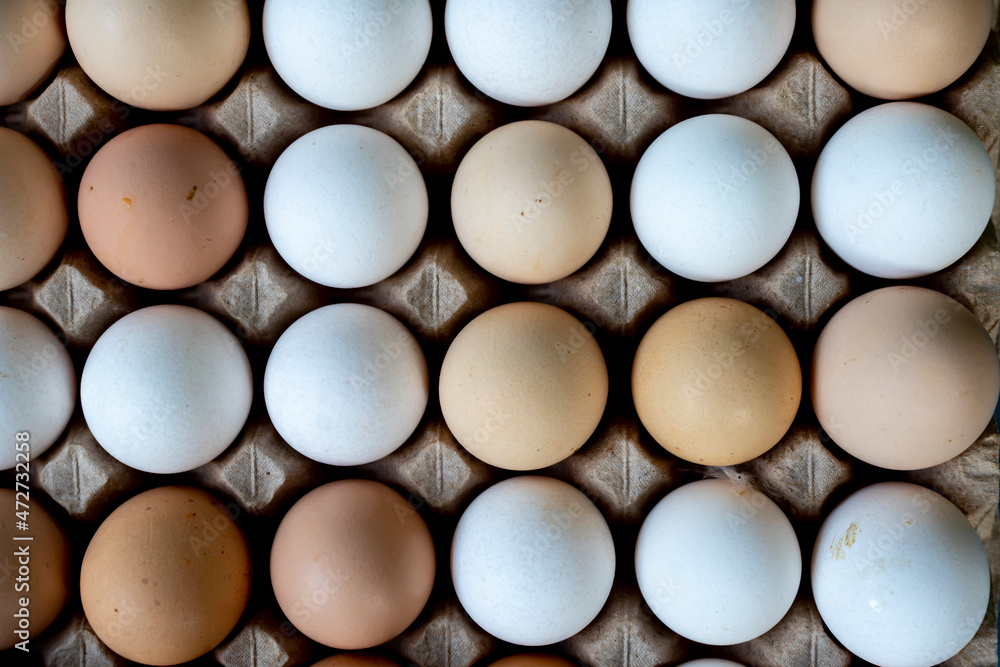 Jajka, Kurze jajka, zdrowe jajka, Jajka w pojemniku, jajka od zdrowych kur, kury z wolnego wybiegu, kolorowe jajka, eggs, healthy eggs, Jajka, Kurze jajka, zdrowe jajka, Jajka w pojemniku, jajka od zdrowych kur, kury z wolnego wybiegu, kolorowe jajka, eggs, healthy eggs,