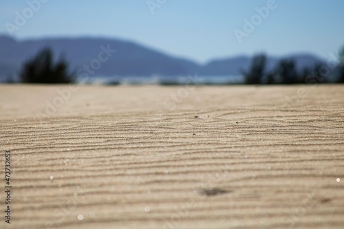 Dunas rasteiras