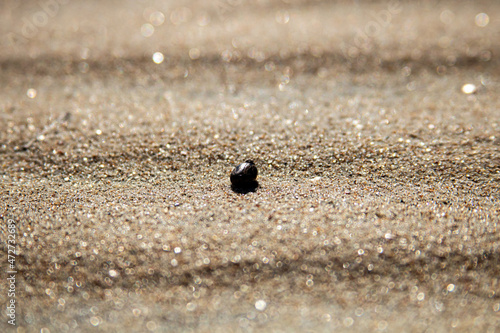 Dunas e texturas