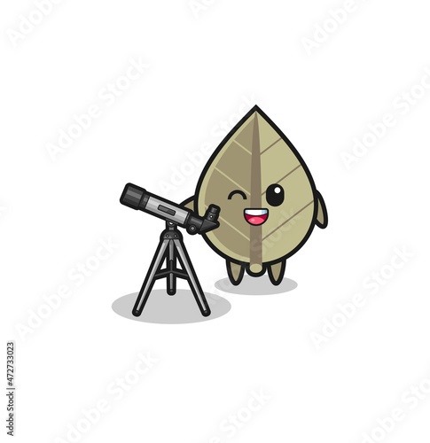 dried leaf astronomer mascot with a modern telescope