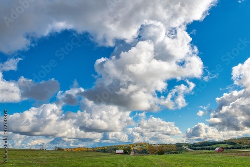 Skyscape