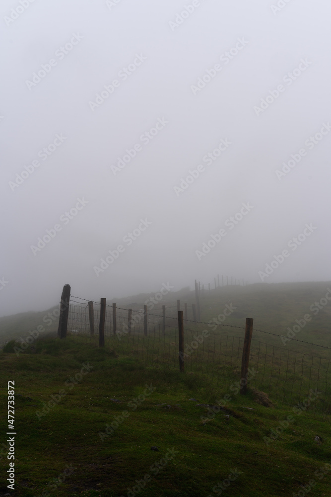 Foggy Fence Line