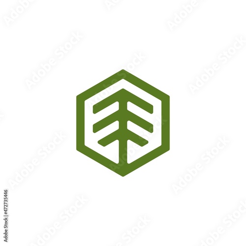 Evergreen Hexagon Logo design