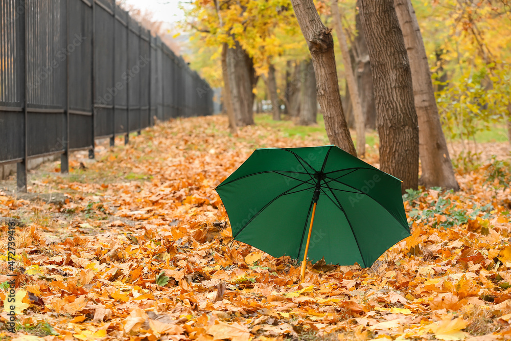 Stylish bright umbrella in autumn park
