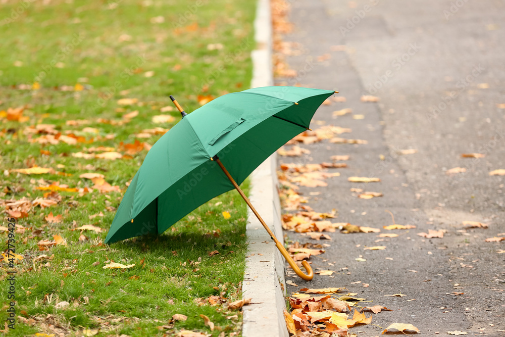 Stylish bright umbrella in autumn park