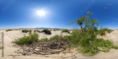 Ocotillo Wells SVRA Desert Sand Dunes photo