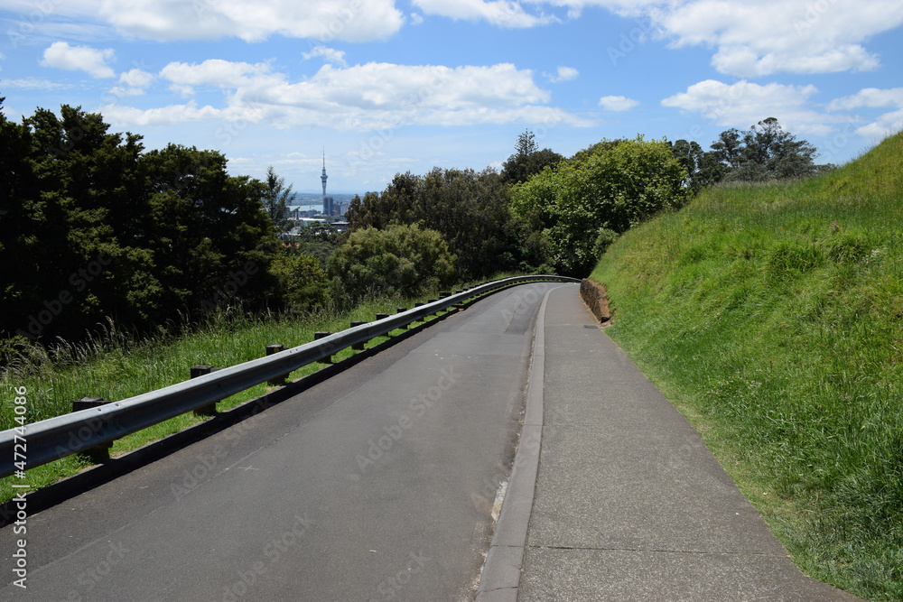 View down a country lane in Auckland, New Zealand, with the Sky Tower in the background