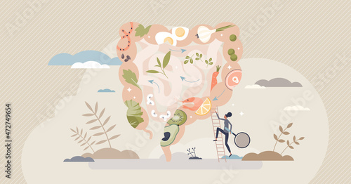 Gut health and healthy food consumption with eating diet tiny person concept. Stomach and gastrointestinal flora friendly balance with alkaline products and fermented nutrients vector illustration.