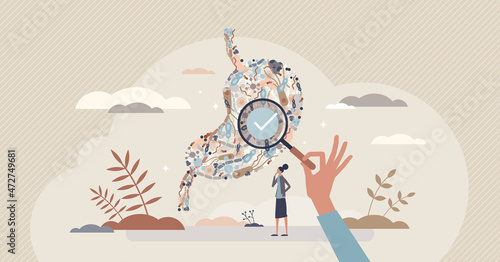 Gut health checkup and gastrointestinal tract diagnosis tiny person concept. Digestion system radiology test and medical check by doctor vector illustration. Stomach and belly balance for wellness.