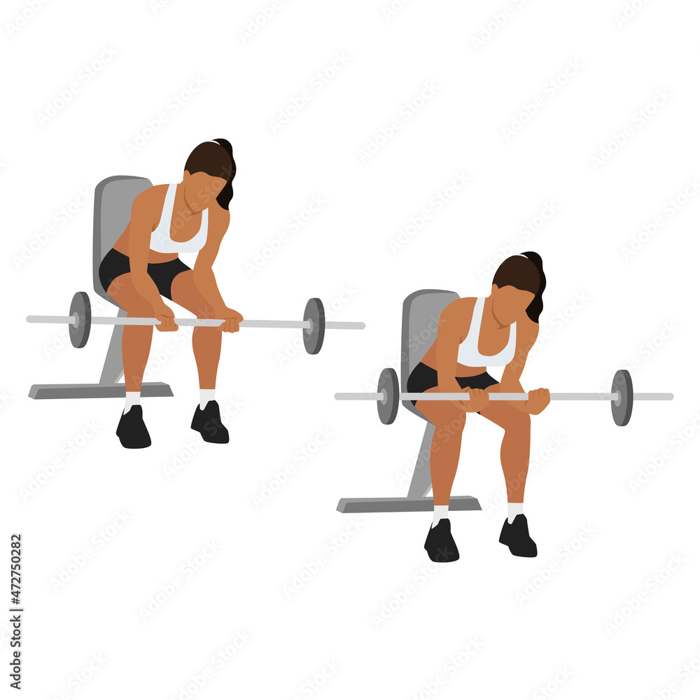Woman doing Seated Palm up wrist curls exercise. Flat vector illustration isolated on white background Woman doing Seated Palm up wrist curls exercise. Flat vector illustration isolated on white background