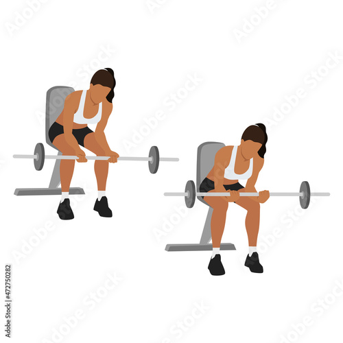 Woman doing Seated Palm up wrist curls  exercise. Flat vector illustration isolated on white background