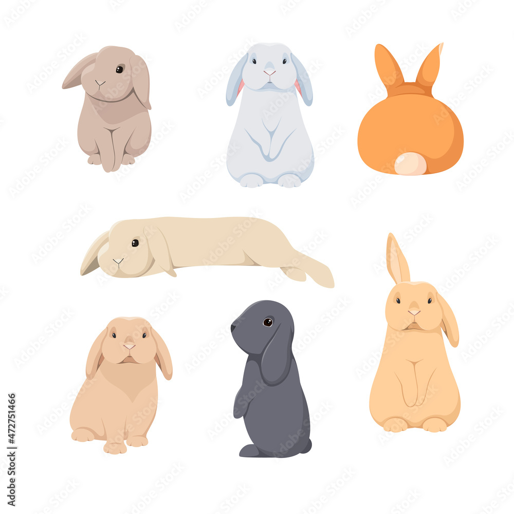 Fototapeta premium A set of cute rabbits on a white background. Cartoon design. 