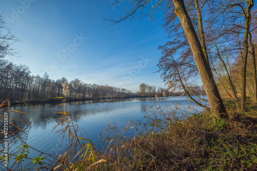 Awesome Winter Day at Lake Born / Germany