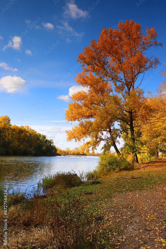 Fototapeta premium beautiful autumn landscape