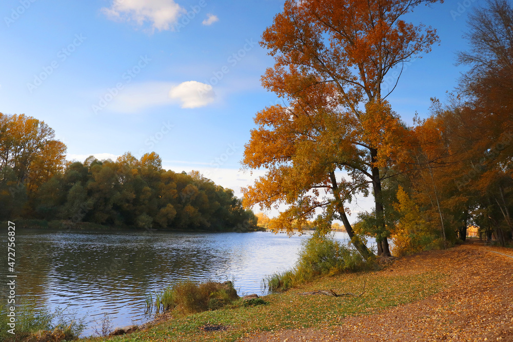 Fototapeta premium beautiful autumn landscape