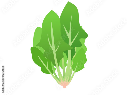 ほうれん草_野菜