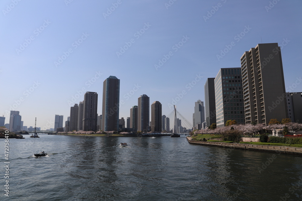 Fototapeta premium 永代橋から見る佃島のタワーマンション群