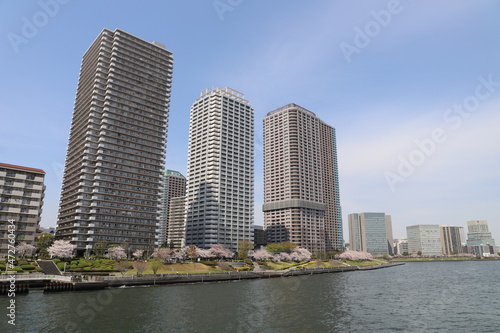相生橋から見る桜満開の隅田川とタワーマンション群 © てっぴぃ