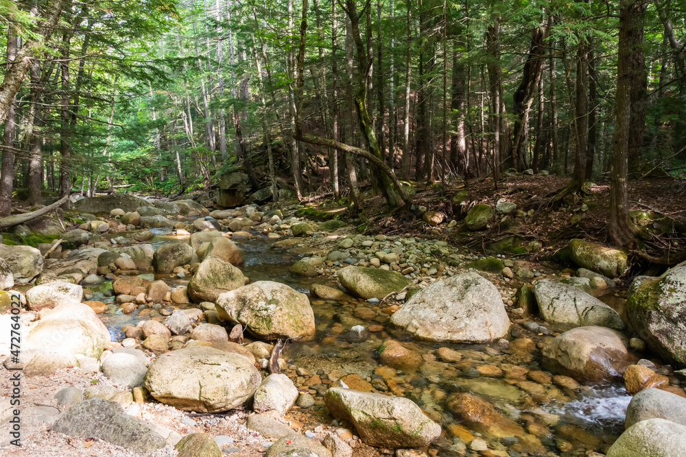 Sabbaday Brook along the Sabbaday Brook Trail in the White Mountain National Forest in New Hampshire, USA. Sabbaday Brook along the Sabbaday Brook Trail in the White Mountain National Forest in New Hampshire, USA.