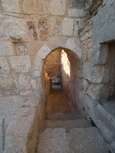 Castillo de Ajlun  en Jordania  Oriente Medio  Asia