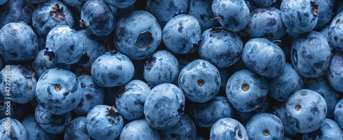 Obraz  z motywem Fresh blueberries close up Blueberry background