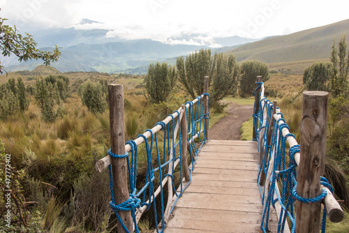 Ecuador, Quito. TeleferiQo cable car rides up Pichincha Volcano to top of Cruz Loma. Rope and wood bridge over stream leads to hiking trails